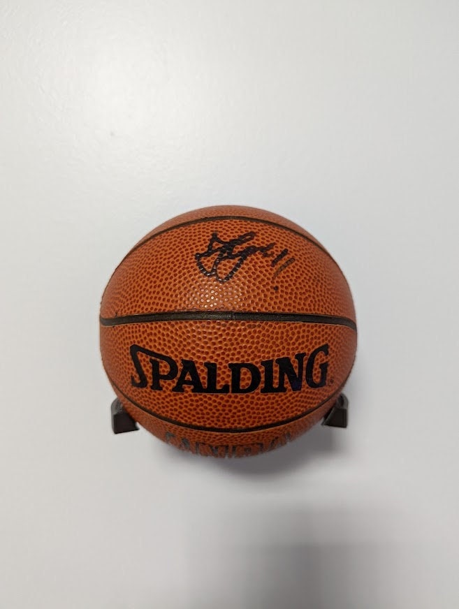 Mini-Basketball Wall Display Mount
