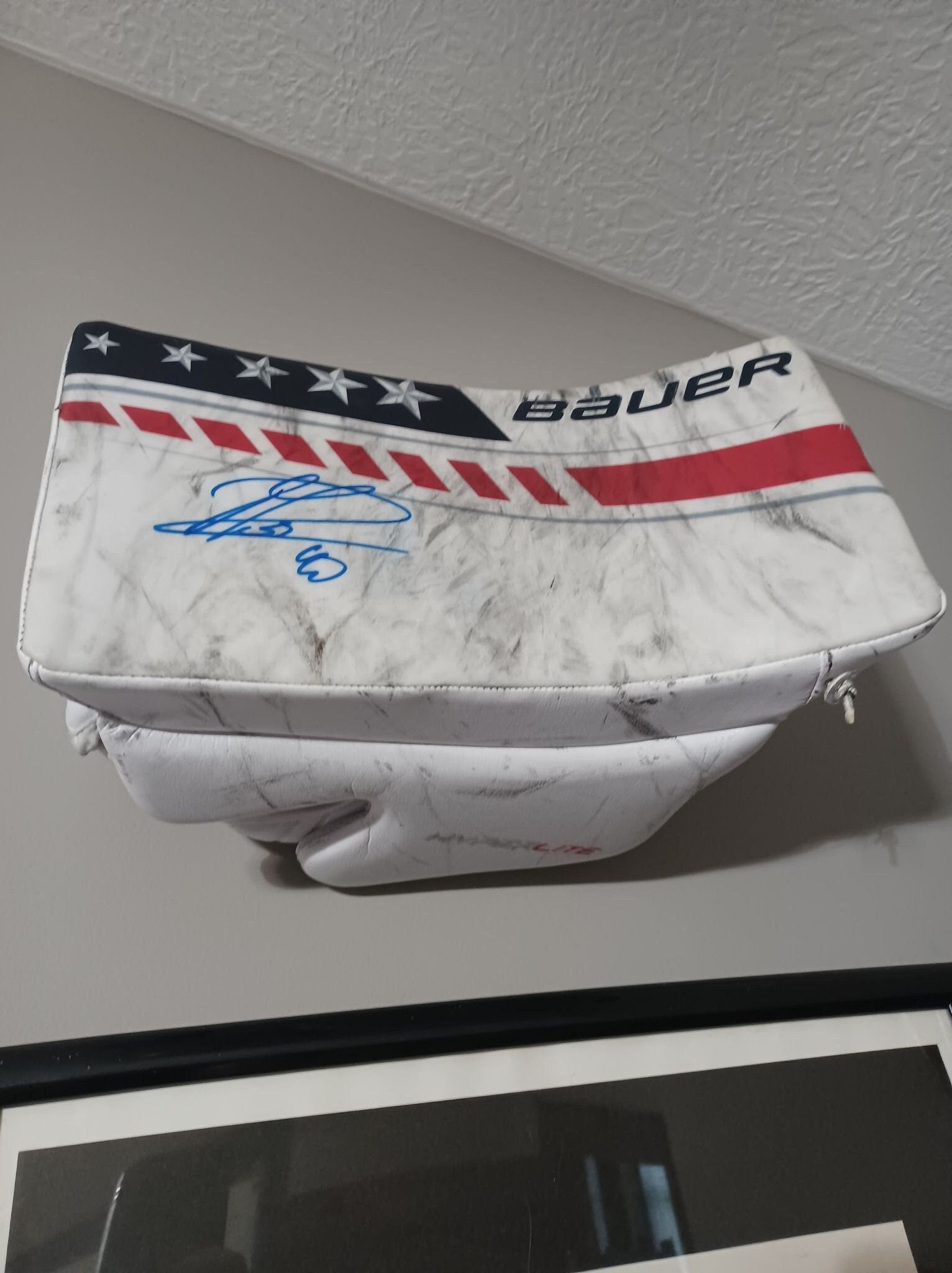 Hockey Goalie Blocker Wall Mount: Sports Memorabilia Display